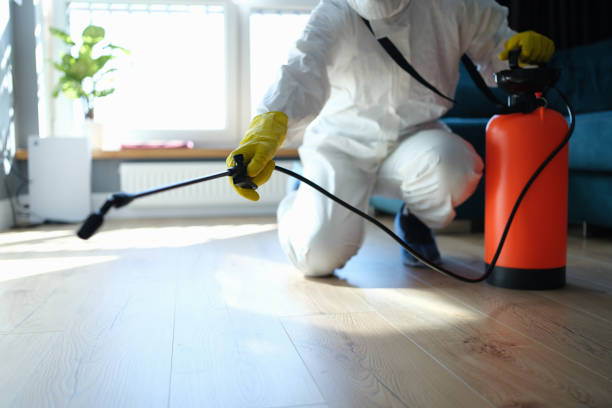 Wasp Removal Services in Burlington, WA