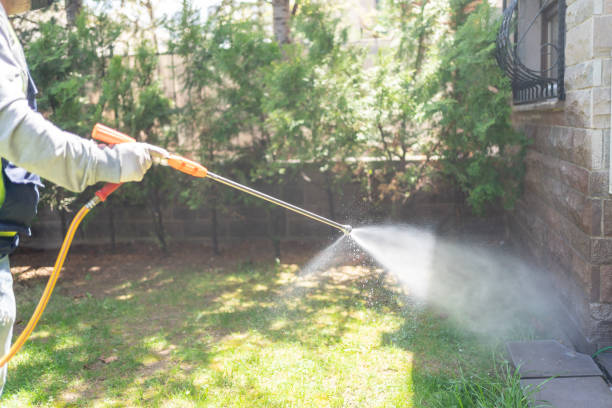 Best Mosquito Control Services  in Burlington, WA