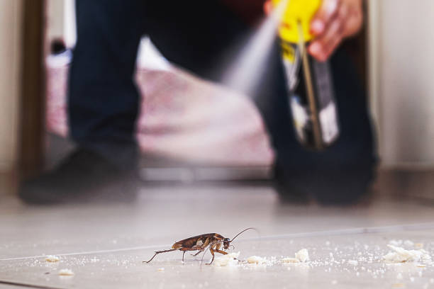 Best Pest Control Near Me in Burlington, WA